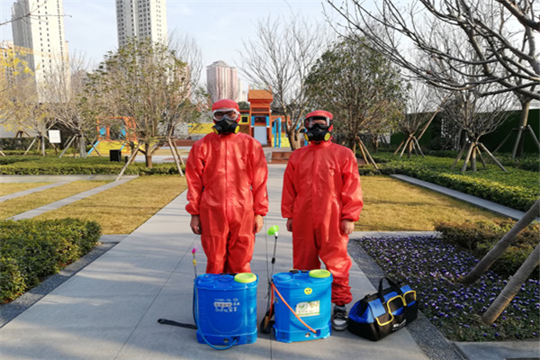 陕西便宜的灭老鼠公司联系电话