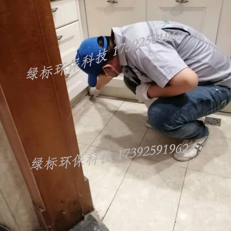 长安区灭蟑螂公司